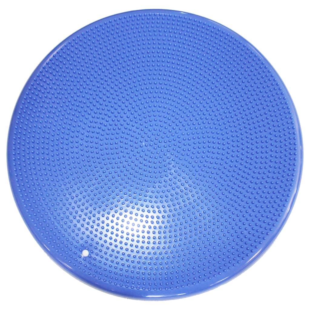 Balance-Scheibe für Haustiere 56 cm Blau