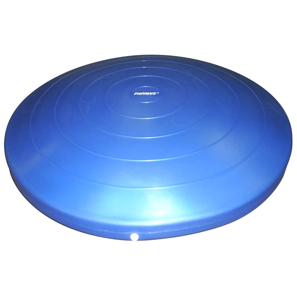 Balance-Scheibe für Haustiere 56 cm Blau
