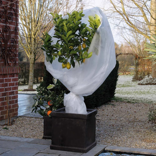 Frostschutzvlies Hülle 30 g/m² Weiß 2x5 m - Home & Family Shop Nicolas Schwarz